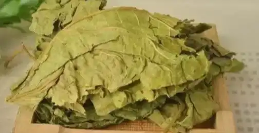 How Mulberry Leaf Extract Powder Supports Blood Sugar Management